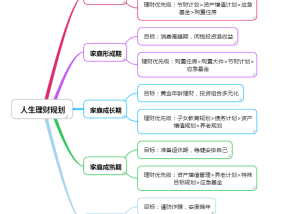 理财规划中的假设，如何科学制定财务目标与策略理财规划理财假设怎么写