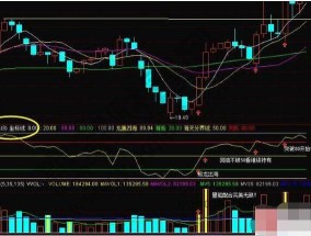 揭秘股票趋势鸿图指标公式，精准捕捉市场动向的利器股票趋势鸿图指标公式